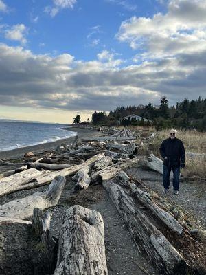 Drift wood on the beach