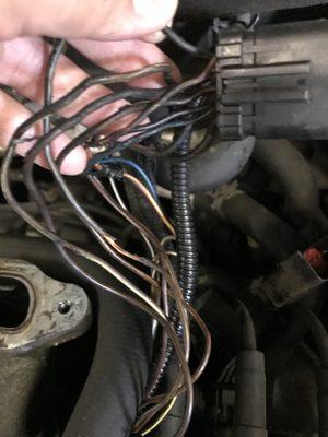 Wire harness melted on a Chrysler town and country