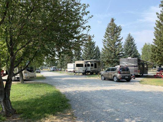 Every site has trees, which helps provide much appreciated shade!