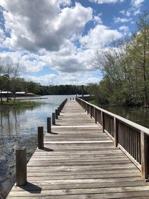 Dock out back