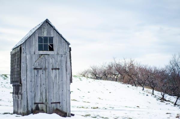 Winter on the orchard