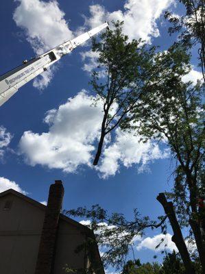 Our crane removing pieces of a tree we were removing