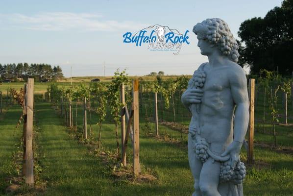 Bacchus in Buffalo Rock Winery's vineyard.