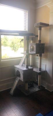 Brand new cat tree for our cats to play on.