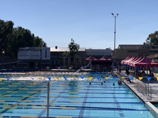 Swim meet warm up