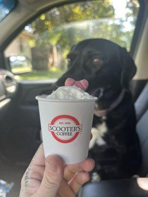 Tilson loves her Pup Cup from Scooter's!!!