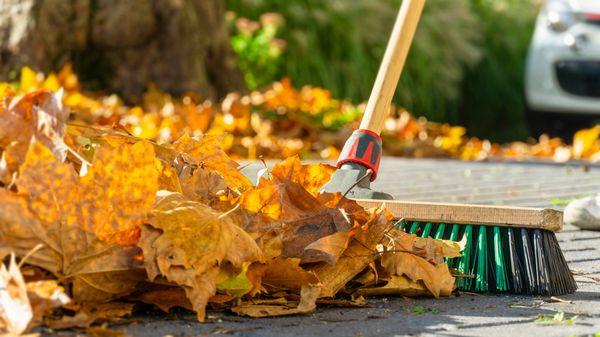 We offer seasonal cleanups. Request a spring clean up now!