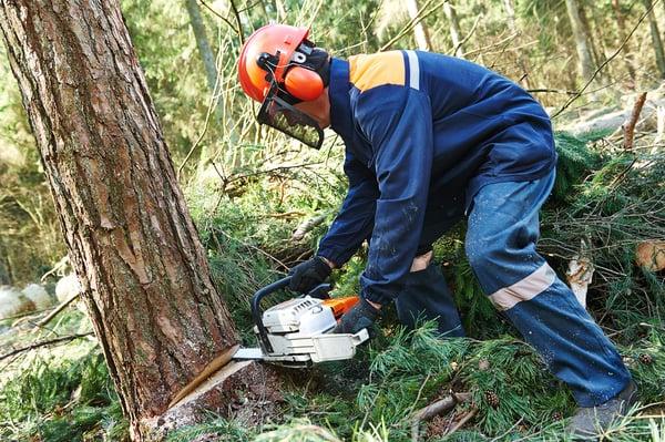 Landing and Brush Clearing Services