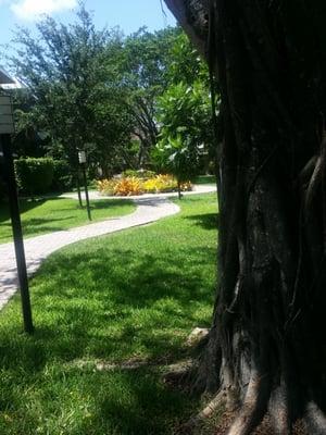 Walkway to pool