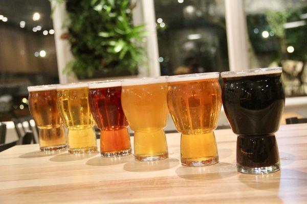 The 6 Core Beer Lineup