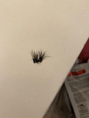 Lashes that I took off with more than 6-7 of my real lashes