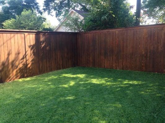 This is the after pic of a fence we stained.