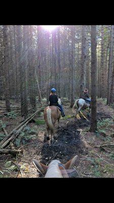 Trail lessons