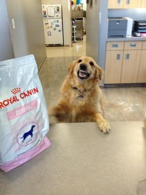 Meet Willow, she is our official clinic greeter!!