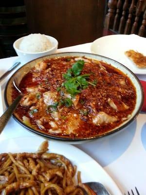 Fave dish! Braised pork in Napa cabbage. Hottest dish in the house. Comes covered in red peppers! Tender, flavorful, lava! Yum!