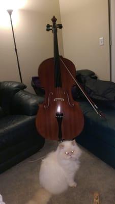 My new cello!