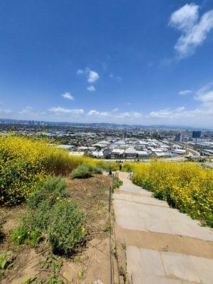 Baldwin Hills Scenic Overlook