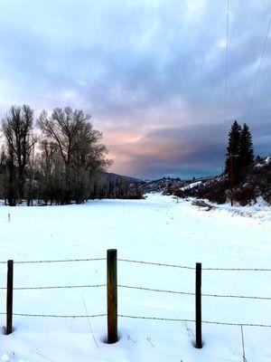 View from the front porch of the Mariposa Lodge