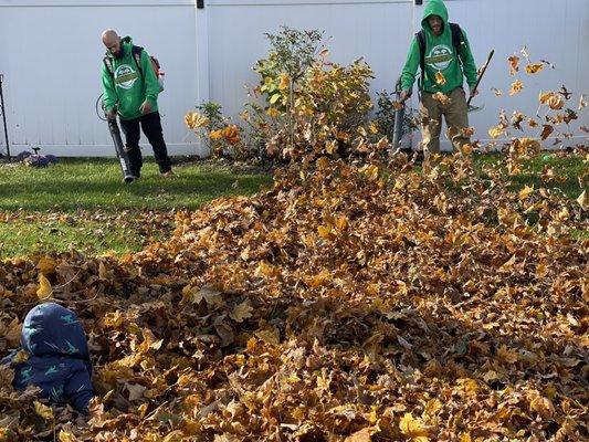 Hands On Landscaping Leaf Removal