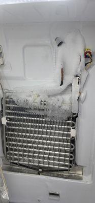 Refrigerator defrost not working and fresh food section warm. Call for service 704-345-5314