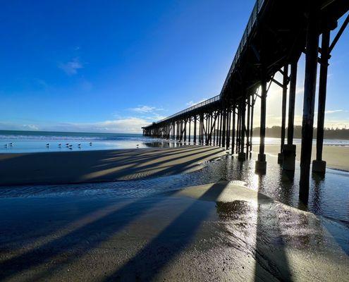 Under the pier during the very low king tides (Jan 2024)