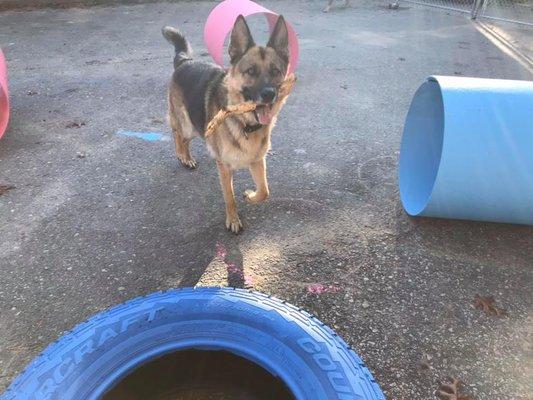 My dog testing out the fun while we set up shop.