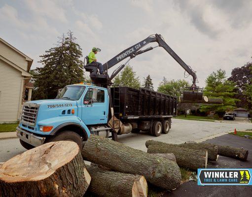 Loader moving large logs