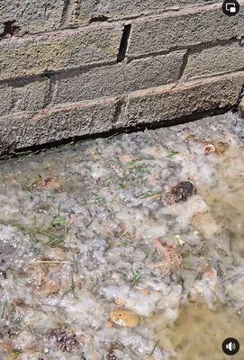 Raw sewage directly under a residents kitchen window!