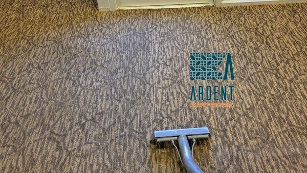 Commercial carpet cleaning