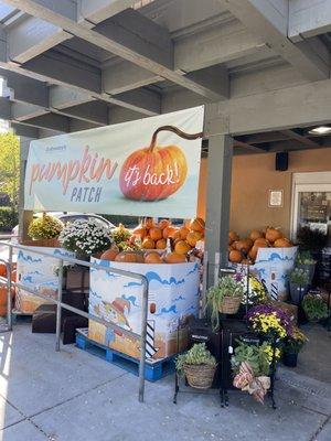 Andronico's Community Markets