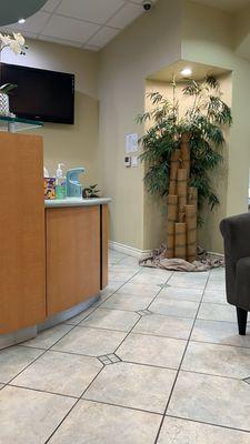 Berryessa Dental Spa