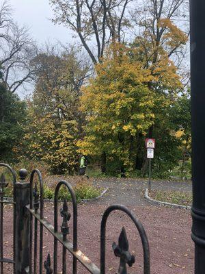 View from the outdoor dining area