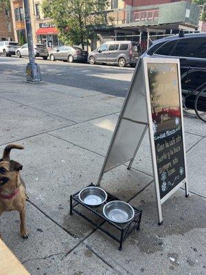 Dog station with water