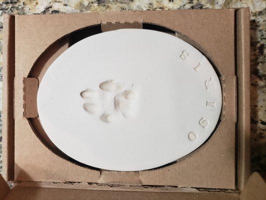 Paw print