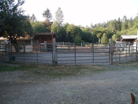 Round Pen