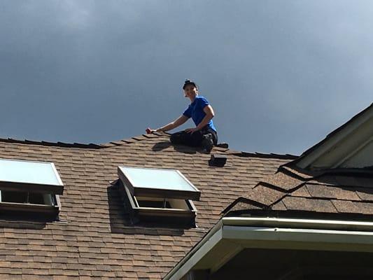 So focused that she wears a headlamp in broad daylight. 30-Year architectural composition shingles in good condition.