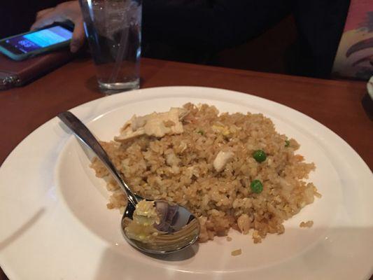 Chicken fried rice