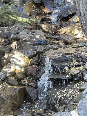 Waterfall at Gold Creak Station