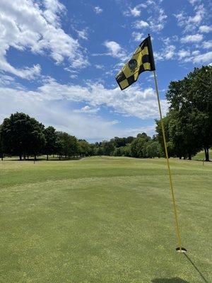 Greens in good shape