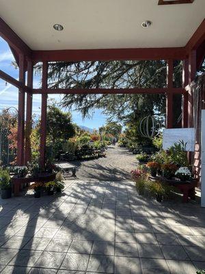 Inviting entry way into nursery @ Southern Oregon Nursery.