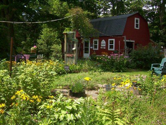 Cottage garden in summer