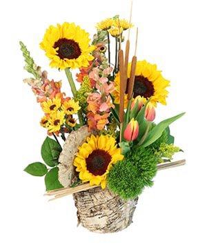 Send sunflowers to brighten up someone's day!