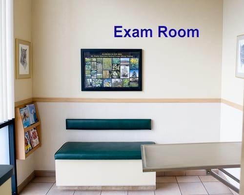 Exam Room