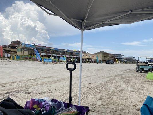 View looking back from the beach