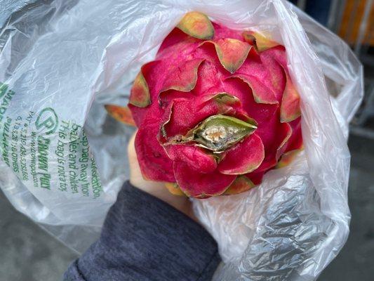 Moldy garaging fruit