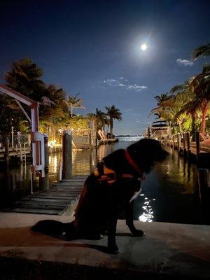 Milo Grant checking out the moon