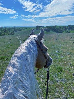 Trail ride