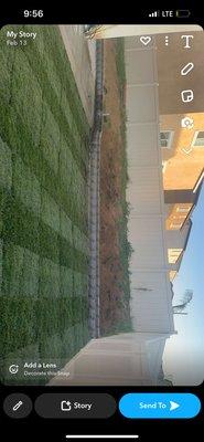 Retaining wall new sod new irrigation