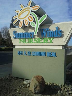 Summer Winds Nursery Logo, Sunnyvale, CA.