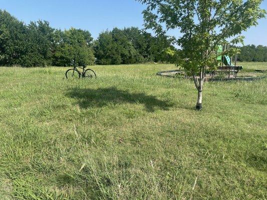 Grass on playground lot at 2 feet tall. When it's HMS violating the covenants-no problemo!